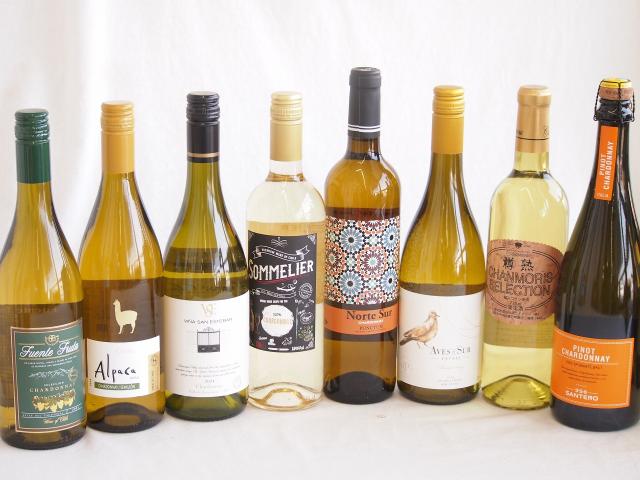 余韻に酔いしれるシャルドネ白ワイン8本セット(アルパカ ネセミヨン辛口Alc.12.5%(チリ) ノルテ スルAlc.13%(スペイン) デル スール辛口Alc.13%(チリ) ヴィーニャ サン エステバン クラシックAlc.13%(チリ) ソムリエAl