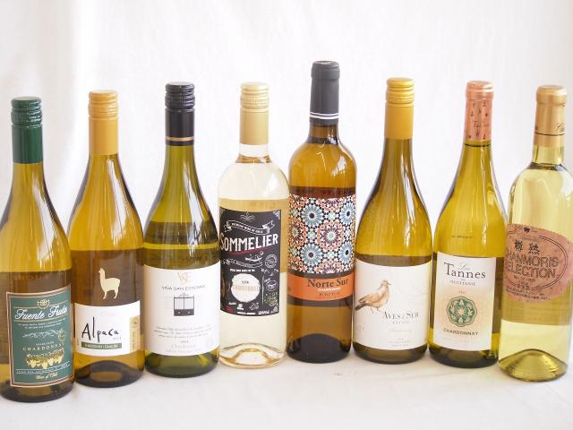 余韻に酔いしれるシャルドネ白ワイン8本セット(アルパカ ネセミヨン辛口Alc.12.5%(チリ) ノルテ スルAlc.13%(スペイン) デル スール辛口Alc.13%(チリ) ヴィーニャ サン エステバン クラシックAlc.13%(チリ) ソムリエAl