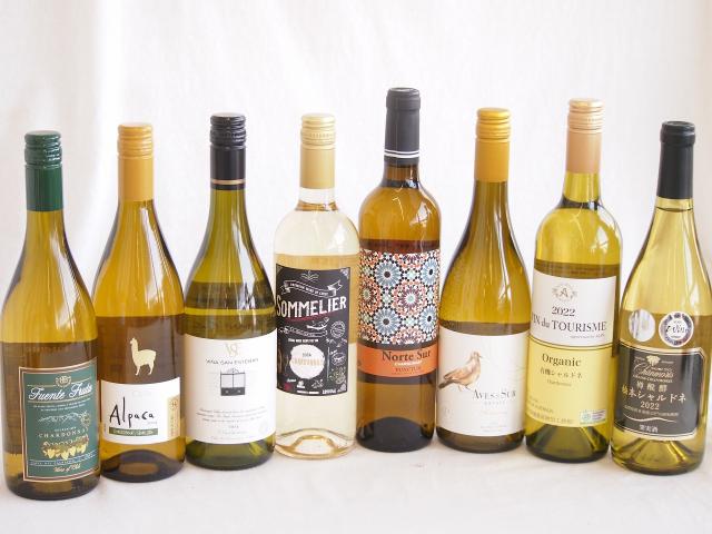 余韻に酔いしれるシャルドネ白ワイン8本セット(アルパカ ネセミヨン辛口Alc.12.5%(チリ) ノルテ スルAlc.13%(スペイン) デル スール辛口Alc.13%(チリ) ヴィーニャ サン エステバン クラシックAlc.13%(チリ) ソムリエAl