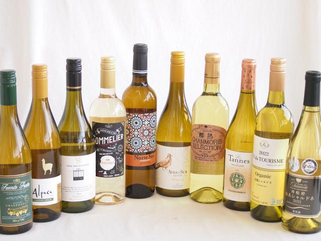 余韻に酔いしれるシャルドネ白ワイン10本セット(アルパカ ネセミヨン辛口Alc.12.5%(チリ) ノルテ スルAlc.13%(スペイン) デル スール辛口Alc.13%(チリ) ヴィーニャ サン エステバン クラシックAlc.13%(チリ) ソムリエA