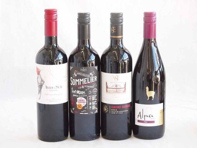 しっかりした存在感チリ赤ワイン 4本セット(クレマスキ ソムリエ カベルネ ソーヴィニヨン クラシック カベルネ・ソーヴィニヨン  デル スール カベルネ ソーヴィニヨン アルパカ シラー) 750ml×4本