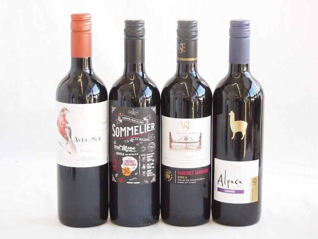 しっかりした存在感チリ赤ワイン 4本セット(クレマスキ ソムリエ カベルネ ソーヴィニヨン クラシック カベルネ・ソーヴィニヨン  デル・スール カルメネール アルパカ　カルメネール ) 750ml×4本の通販は 5,561円