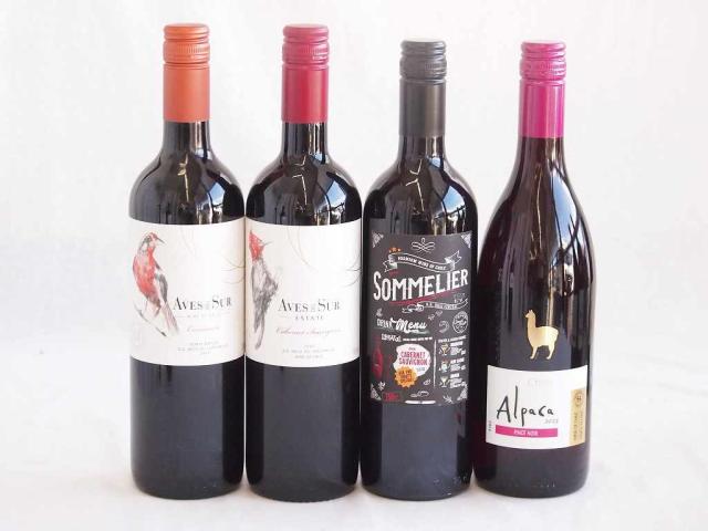 しっかりした存在感チリ赤ワイン 4本セット(クレマスキ ソムリエ カベルネ ソーヴィニヨン デル スール カベルネ ソーヴィニヨン デル・スール カルメネール アルパカ ピノ ノワール) 750ml×4本の通販は 5,980円