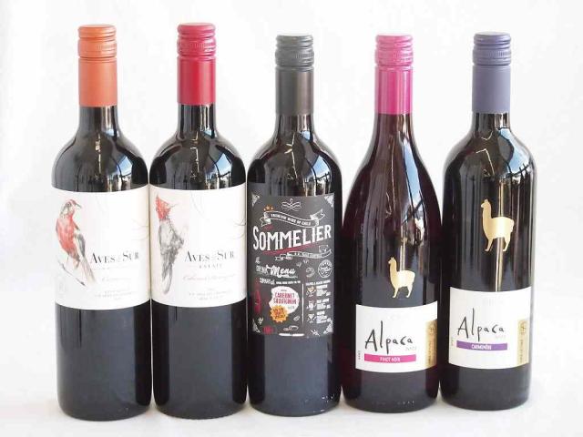 しっかりした存在感チリ赤ワイン 5本セット(クレマスキ ソムリエ カベルネ ソーヴィニヨン デル スール カベルネ ソーヴィニヨン デル・スール カルメネール アルパカ ピノ ノワール アルパカ　カルメネール ) 750ml×5本