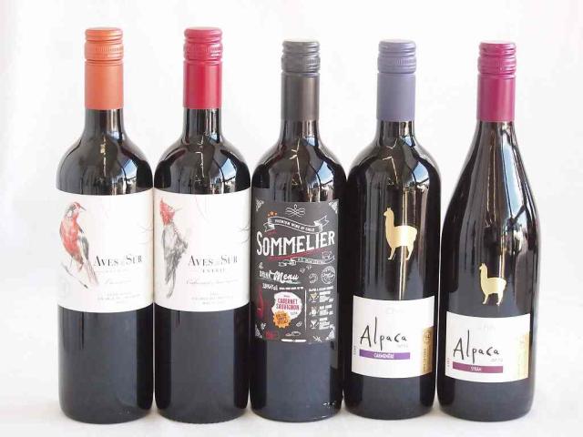 しっかりした存在感チリ赤ワイン 5本セット(クレマスキ ソムリエ カベルネ ソーヴィニヨン デル スール カベルネ ソーヴィニヨン デル・スール カルメネール アルパカ シラー アルパカ　カルメネール ) 750ml×5本 6,980円