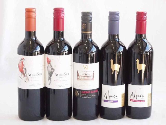 しっかりした存在感チリ赤ワイン 5本セット(クラシック カベルネ・ソーヴィニヨン  デル スール カベルネ ソーヴィニヨン デル・スール カルメネール アルパカ　カルメネール  アルパカ カベルネ・メルロー) 750ml×5本 6,980円
