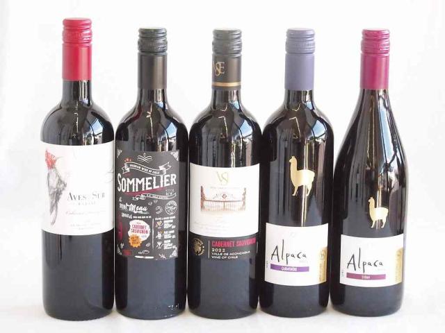 しっかりした存在感チリ赤ワイン 5本セット(クレマスキ ソムリエ カベルネ ソーヴィニヨン クラシック カベルネ・ソーヴィニヨン  デル スール カベルネ ソーヴィニヨン アルパカ シラー アルパカ　カルメネール ) 750ml×5本の通販は 6,980円