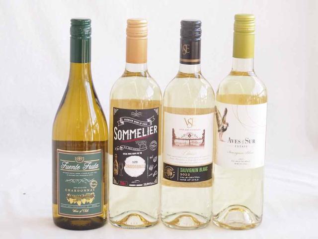 爽やかな酸味のチリ辛口白ワイン 4本セット(フルロッティ ソムリエ シャルドネ クラシック ソーヴィニヨン ブラン デル スール ソーヴィニヨン ブラン フエンテ フルータ シャルドネ) 750ml×4本の通販は