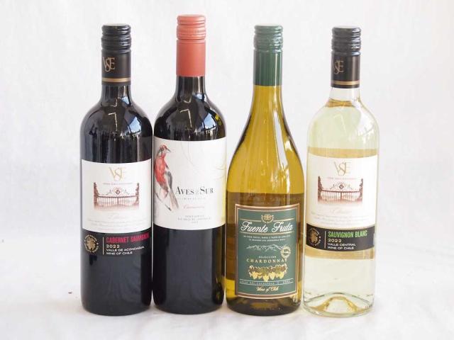 人々に愛されチリ赤白ワイン 4本セット(クラシックソーヴィニヨン・ブラン白 クラシックカベルネ・ソーヴィニヨン赤 デル・スール カルメネール赤 フエンテ フルータ シャルドネ白) 750ml×4本の通販は