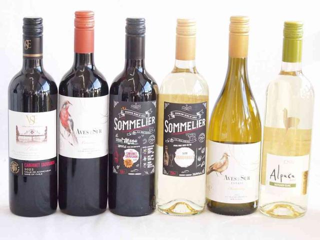 人々に愛されチリ赤白ワイン 6本セット(ソムリエ カベルネ ソーヴィニヨン赤 フルロッティ ソムリエ シャルドネ白 クラシックカベルネ・ソーヴィニヨン赤 デル・スール シャルドネ白 デル・スール カルメネール赤 アルパカ ソーヴィニヨン ブラン白) 75