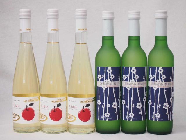 国産フルーツワイン6本セット Cider 青森弘前産りんご使用3本 梅ワイン京都青谷 梅わいん 京都山城青谷産城州白梅わいん3本 やや甘口 丹波ワイン (京都府) 500ml×6本