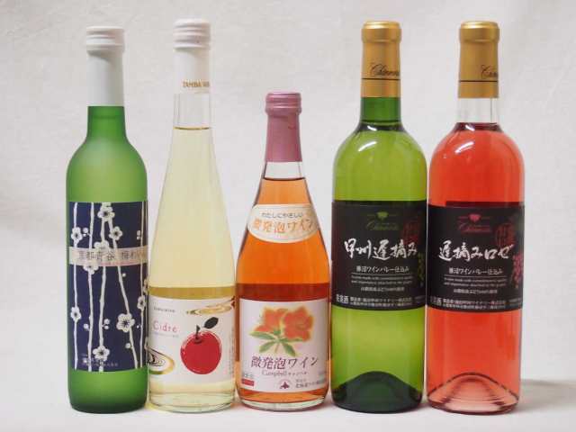 国産フルーツワイン5本セット Cider 青森弘前産りんご使用500ml 京都