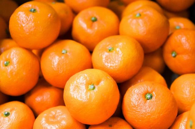 柑橘系のお酒特集 6本セット(みかんのお酒7度(愛知県) 紀州の梅酒と完熟みかん12度(和歌山県) 紀州の梅酒と柑橘ミックス12度(和歌山県) 高千穂日向夏14度(宮崎県) さわやかへべすリキュール14度(宮崎県) オレンジベアー7度(三重県)) 720