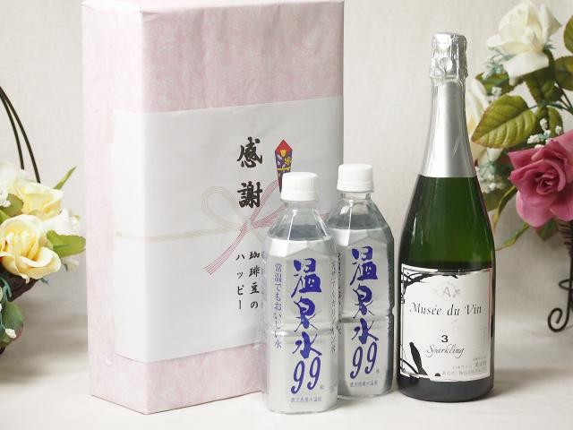 夏の贈り物お中元 感謝の贈り物ボックス 温泉水2本と国産ワインセット(MdV オアシス3 白スパークリングワイン辛口(長野県)750ml温泉水99 500ml×2本