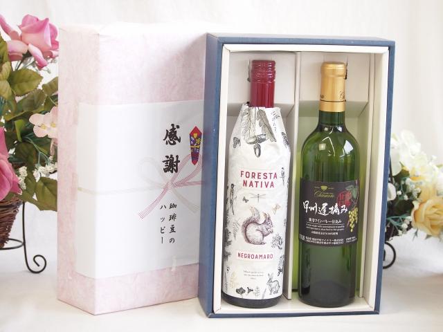 感謝の贈り物ボックス イタリア黒葡萄品種赤ワインと国産ワインセット(甲州遅摘み 白 完熟甘口ワイン 甘口(山梨県)720mlフォレスタ ナティヴァ ネグロ・アマーロ赤ワイン (イタリア) 750ml
