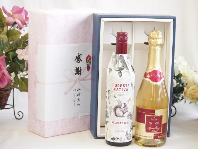 感謝の贈り物ボックス イタリア黒葡萄品種赤ワインと国産ワインセット(甲州スパークリング 白ワインやや辛口(山梨県)720mlフィリペッティ ゴールド ブリュット (イタリア) 750mlの通販は 5,980円
