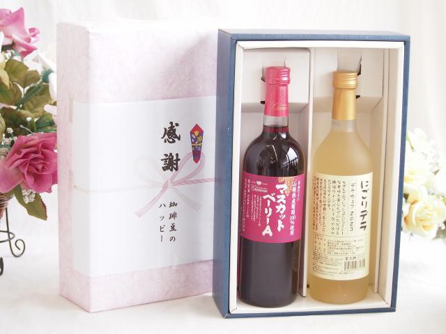 春の贈り物便り 感謝の贈り物ボックス 山梨県産葡萄マスカットベーリーA種使用ワインと国産ワイン2本セット(にごりデラ 白ワイン やや甘口(山梨県)720mlマスカットベーリーA赤ワイン720ml