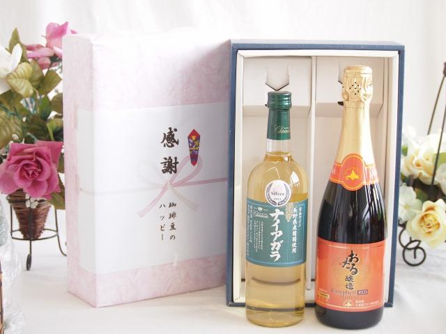 春の贈り物便り 感謝の贈り物ボックス 長野県産葡萄ナイアガラ種使用ワインと国産ワイン2本セット(おたる醸造 キャンベル赤スパークリングワインやや甘口(北海道)720mlシャンモリナイアガラやや甘口白ワイン(山梨県)720ml