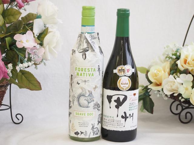 イタリアソアーヴェ白ワインと国産ワインセット(柑橘香 穂坂甲州 白ワイン 辛口(山梨県)720mlフォレスタ ナティヴァ ソアーヴェ (イタリア) 750ml