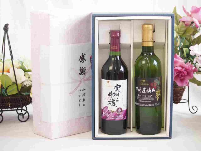 感謝の贈り物ボックス 国産やや甘口赤ワインと国産ワインセット(甲州遅摘み 白 完熟甘口ワイン 甘口(山梨県)720mlヴィンテージ実りの収穫 赤ワイン720ml
