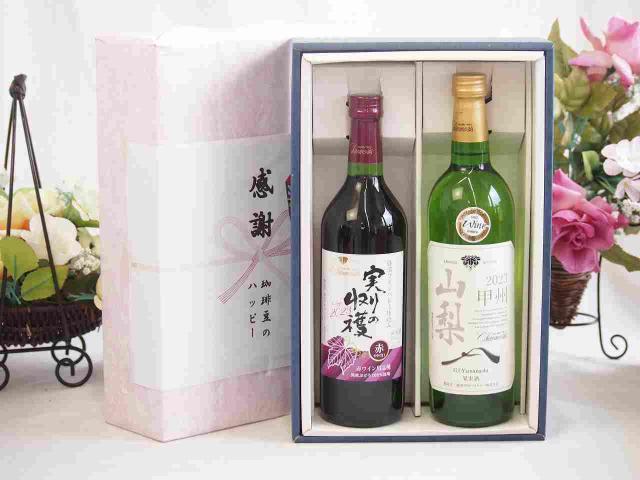 感謝の贈り物ボックス 国産やや甘口赤ワインと国産ワインセット(山梨 甲州 白ワイン やわらかな辛口(山梨県)750mlヴィンテージ実りの収穫 赤ワイン720ml