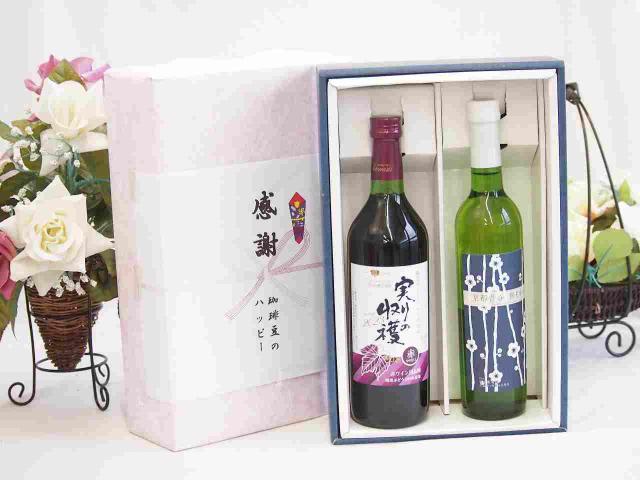 感謝の贈り物ボックス 国産やや甘口赤ワインと国産ワインセット(京都青谷 梅わいんワインやや甘口(京都府)500mlヴィンテージ実りの収穫 赤ワイン720ml