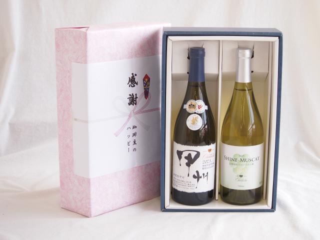感謝の贈り物ボックス 和柑橘香な辛口白ワインと国産ワインセット(シャインマスカット100白ワイン やや甘口(山梨県)750ml柑橘香 山梨県産御坂甲州白ワイン 750ml