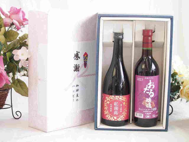 感謝の贈り物ボックス 香る南高梅酒 紅南高と国産ワインセット(おたる醸造 キャンベルアーリ赤ワイン 辛口(北海道)720ml紅南高 紀州梅酒(和歌山県)720ml