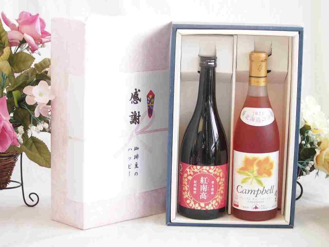 夏の贈り物お中元 感謝の贈り物ボックス 香る南高梅酒 紅南高と国産ワインセット(北海道の詩 プレミアムキャンベルロゼワイン 甘口(北海道)720ml紅南高 紀州梅酒(和歌山県)720ml