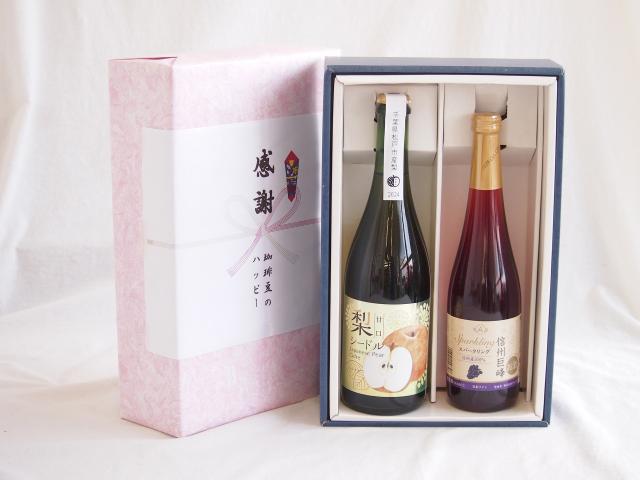 夏の贈り物お中元 感謝の贈り物ボックス 梨シードル甘口と国産ワインセット(信州巨峰スパークリングワイン やや甘口(長野県)500ml松戸市産 梨シードル甘口750ml