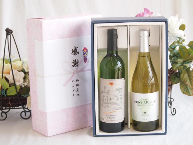 感謝の贈り物ボックス 国産甲州種辛口白ワインと国産ワインセット(シャインマスカット100白ワイン やや甘口(山梨県)750mlシャンモリ 山梨限定醸造白750ml(笛吹市石和町山下農園産甲州)