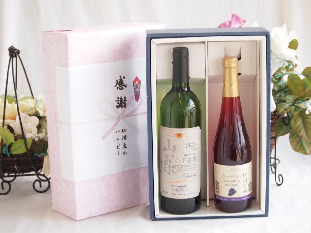 感謝の贈り物ボックス 国産甲州種辛口白ワインと国産ワインセット(青森弘前産りんご使用 シードルワインやや甘口(京都府)500mlシャンモリ 山梨限定醸造白750ml(笛吹市石和町山下農園産甲州)