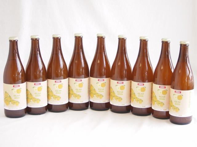 9本セット(梨サワーエール　ホワイト(千葉県)) 500ml×9本の通販は