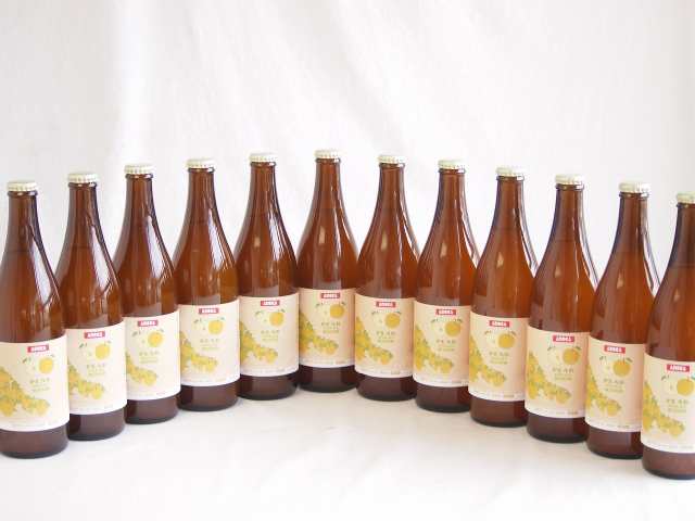 12本セット(梨サワーエール　ホワイト(千葉県)) 500ml×12本の通販は 15,386円