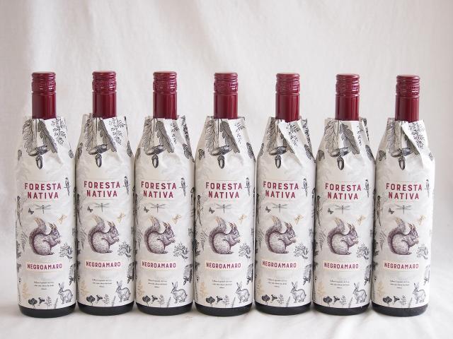 7本セット(イタリア赤ワイン フォレスタ ナティヴァ ネグロアマーロ) 750ml×7本