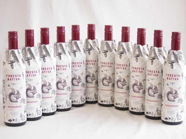 11本セット(イタリア赤ワイン フォレスタ ナティヴァ ネグロアマーロ) 750ml×11本の通販は