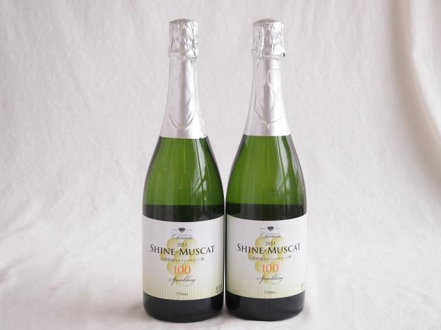 2本セット(山梨県産シャインマスカット100 スパークリング10度やや甘口) 750ml×2本