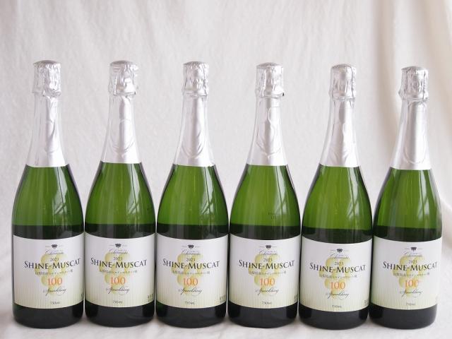 6本セット(山梨県産シャインマスカット100 スパークリング10度やや甘口) 750ml×6本
