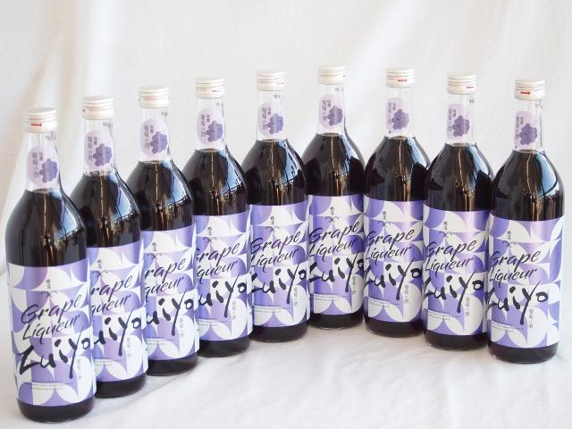 レア盤・美品】Tokyo Underground 砂原良徳ピクチャーレコード