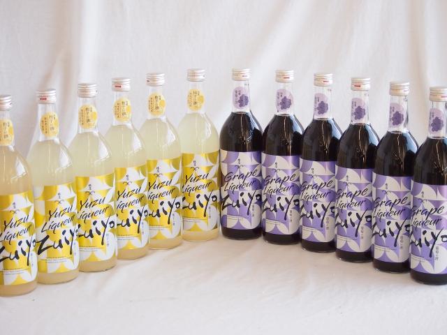 12本セット(瑞鷹 柚子の酒10度(熊本県) 瑞鷹 葡萄の酒10度(熊本県)) 720ml×12本