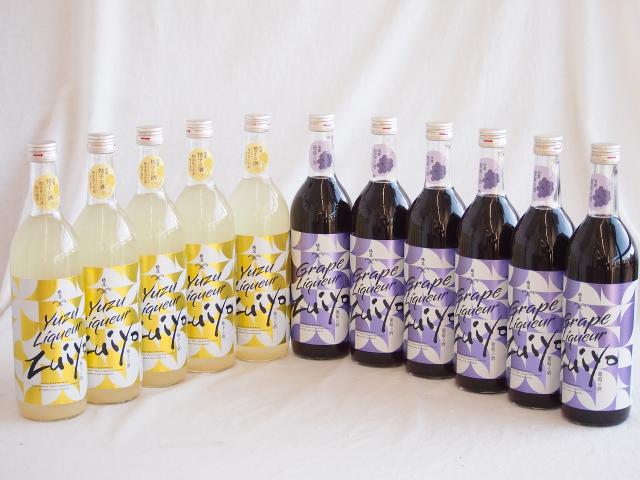 11本セット(瑞鷹 柚子の酒10度(熊本県) 瑞鷹 葡萄の酒10度(熊本県)) 720ml×11本