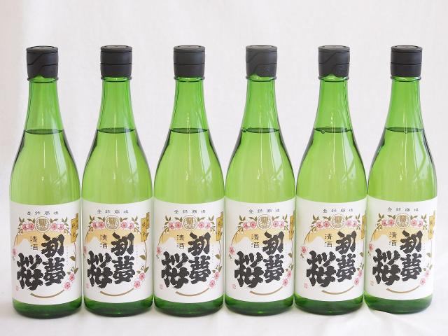 6本セット(金鯱 純米酒 初夢桜(愛知県)) 720ml×6本