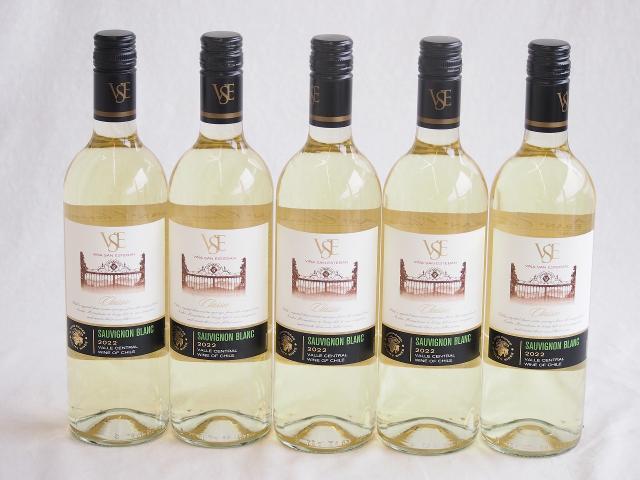 5本セット(クラシック ソーヴィニヨン・ブラン白ワイン (チリ)) 750ml×5本
