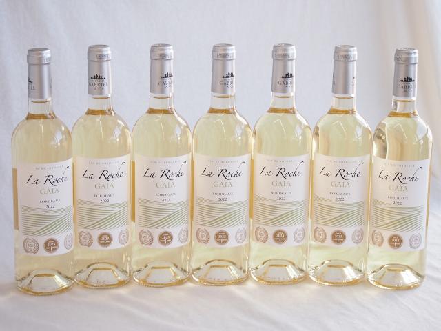 7本セット(フランストリプル金賞白ワイン セラ･ロッシュ ガイア) 750ml×7本の通販は