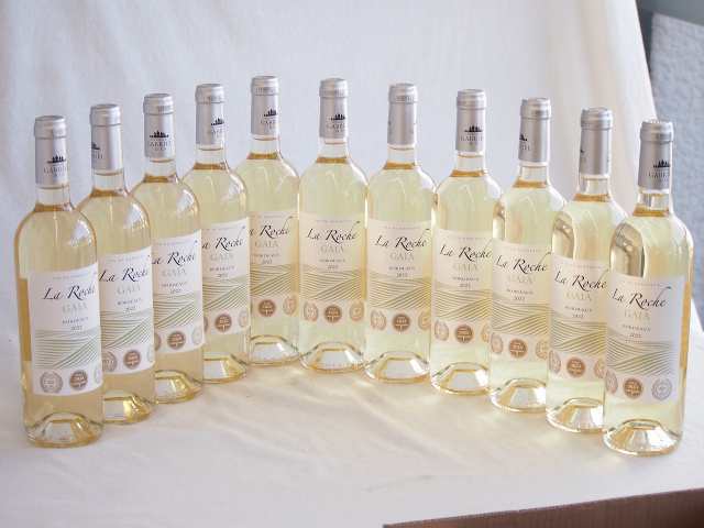 11本セット(フランストリプル金賞白ワイン セラ･ロッシュ ガイア) 750ml×11本の通販は