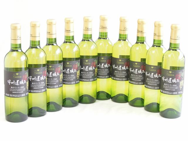 10本セット( 甲州遅摘み 完熟甘口 白ワイン（山梨県)) 720ml×10本 11,506円
