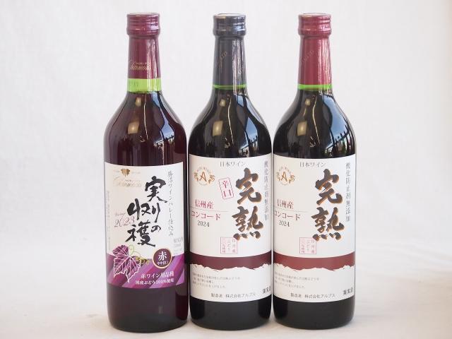 国産新酒3本セット(信州産完熟コンコード 辛口赤ワイン ミディアム 信州産完熟コンコード やや甘口赤ワイン ミディアム 国産100% 実りの収穫 デラウェアやや甘口赤ワイン) 720ml×3本