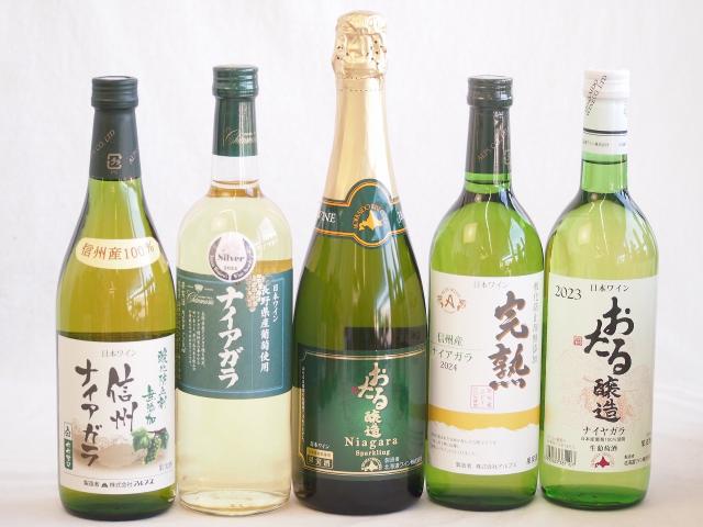 ナイアガラ葡萄フルーティーでフレッシュな風味ワイン5本セット(信州産完熟ナイアガラ 長野県産葡萄ナイアガラ おたるナイアガラスパークリングワイン 生葡萄おたる ナイアガラ 酸化防止剤無添加 信州ナイアガラ) 720ml×5本の通販は 7,661円