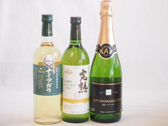 ナイアガラ葡萄フルーティーでフレッシュな風味ワイン3本セット(信州産完熟ナイアガラ 長野県産葡萄ナイアガラ 塩尻ナイアガラスパークリング) 720ml×3本