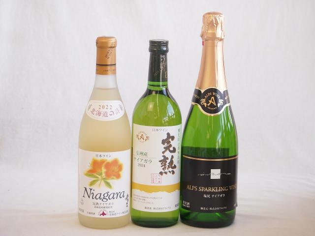 ナイアガラ葡萄フルーティーでフレッシュな風味ワイン3本セット(信州産完熟ナイアガラ 塩尻ナイアガラスパークリング 生葡萄おたる完熟ナイヤガラ) 720ml×3本
